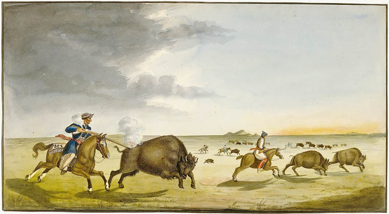 Metis Buffalo Hunting c.1825