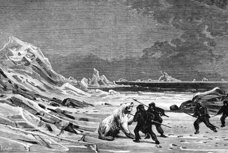 Castaways fighting their first Polar Bear 