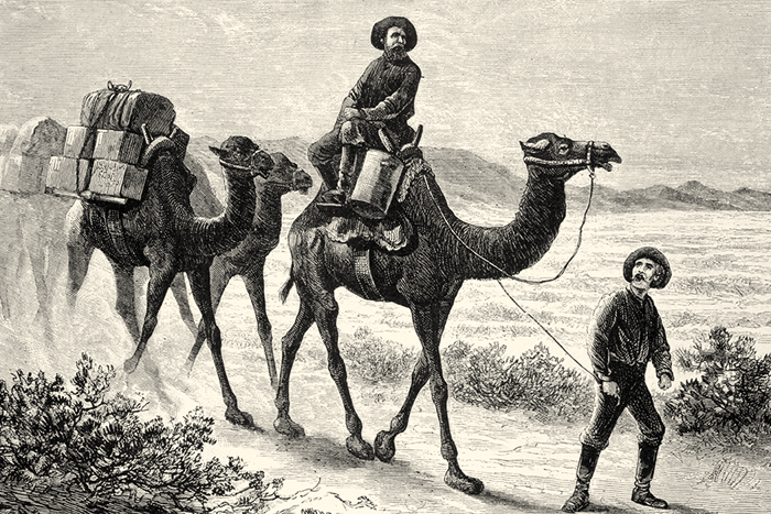 Camel Caravan in Texas. Some foreign camel drivers came with the camels to train the Texans how to manage them. (Harper's Weekly)