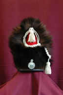 bearskin2.jpg (26633 bytes)